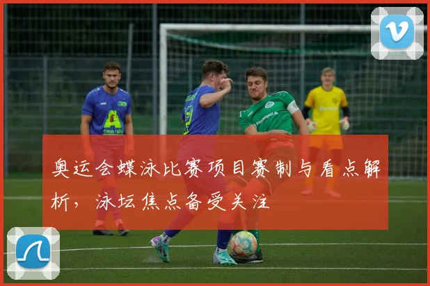 奥运会蝶泳比赛项目赛制与看点解析,泳坛焦点备受关注