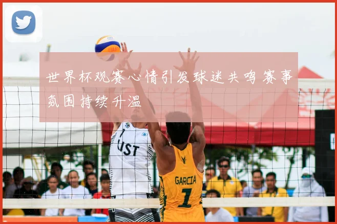 世界杯观赛心情引发球迷共鸣 赛事氛围持续升温