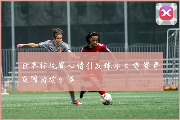 世界杯观赛心情引发球迷共鸣 赛事氛围持续升温