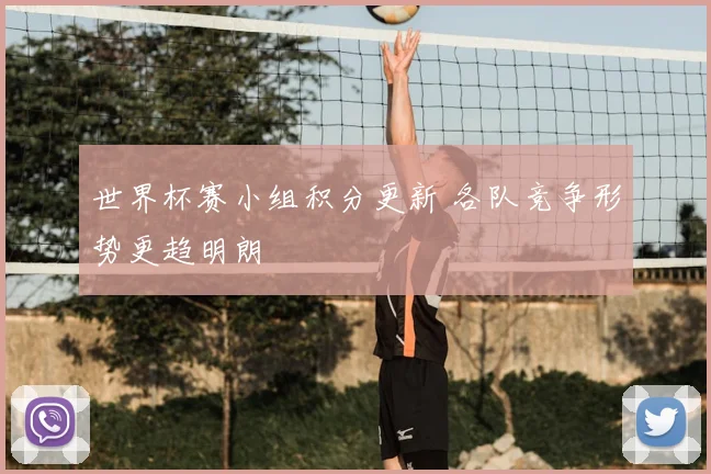 世界杯赛小组积分更新 各队竞争形势更趋明朗