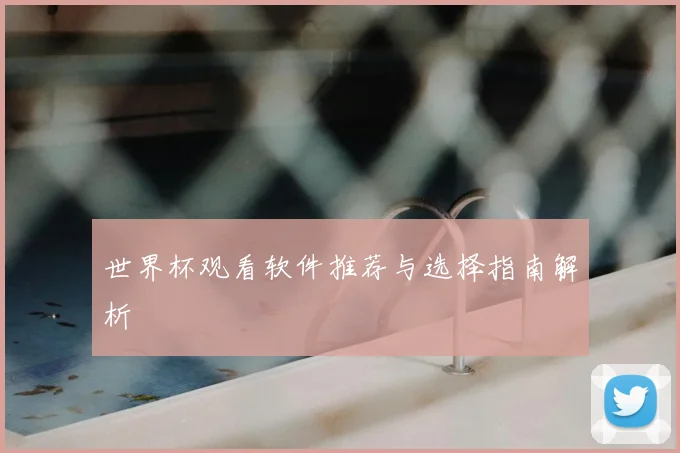 世界杯观看软件推荐与选择指南解析