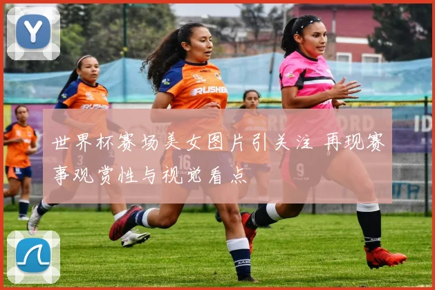 世界杯赛场美女图片引关注 再现赛事观赏性与视觉看点