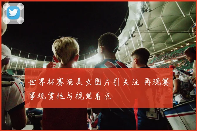 世界杯赛场美女图片引关注 再现赛事观赏性与视觉看点