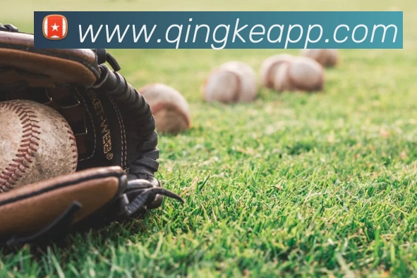 开云官方入口app发展历程